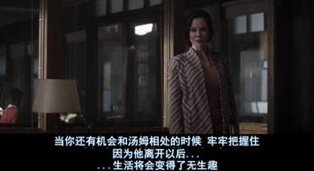 横刀夺爱，免费短剧的魅力之旅