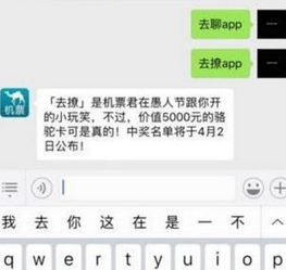 错撩免费观看，第17集