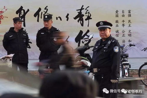 绝世强龙，超爽短剧免费观看，视觉盛宴不容错过！