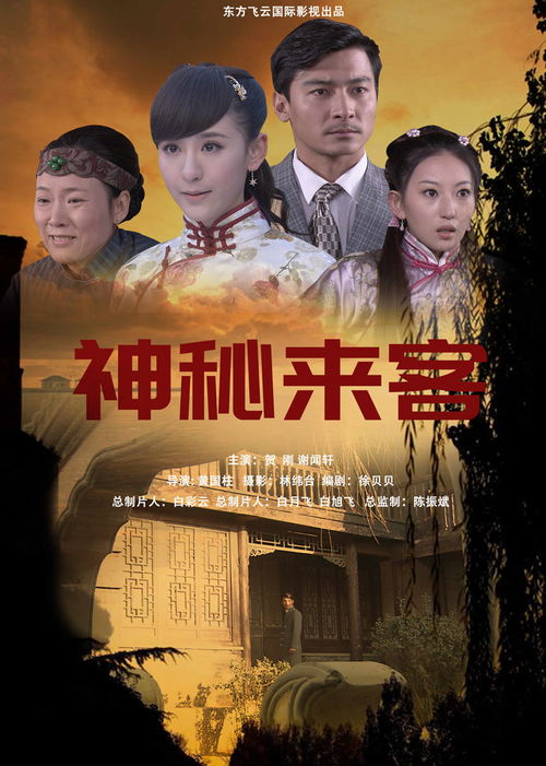 神秘来客，免费在线观看的精彩短剧