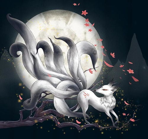 狐狸与龙的神秘之旅——免费观看短剧