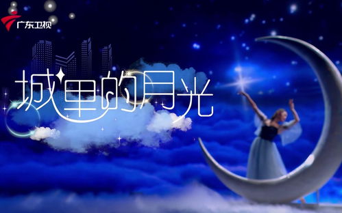 明月高悬映乡愁——免费观看故乡情深短剧