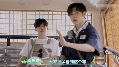 夏日时光，免费在线观看夏日短剧的快乐体验