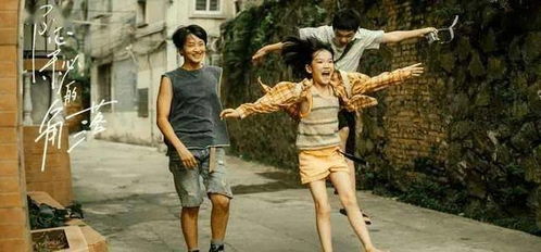 短剧热潮，西瓜视频免费观看大全的精彩世界之旅