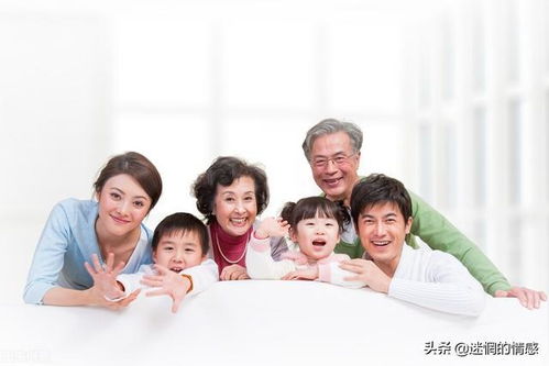 女婿与儿媳的短剧之旅，免费观看的精彩故事
