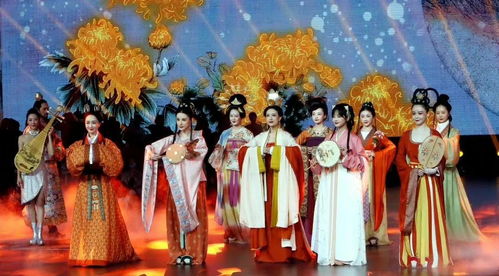 师姐无双，免费高清短剧的精彩世界