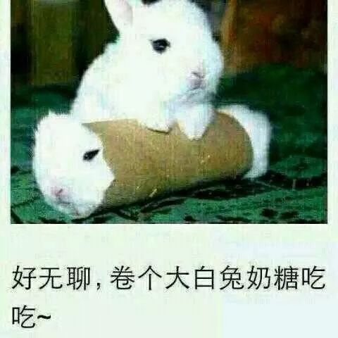 免费畅享，大白进村喜剧短剧，乡村生活欢乐无限