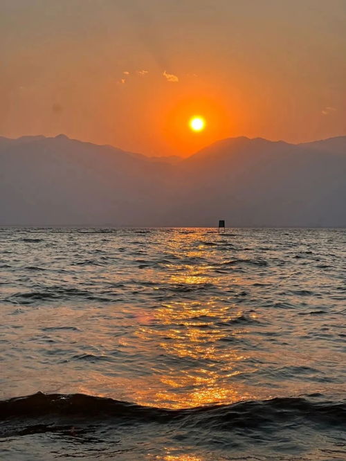 夏日落日下的免费短剧盛宴