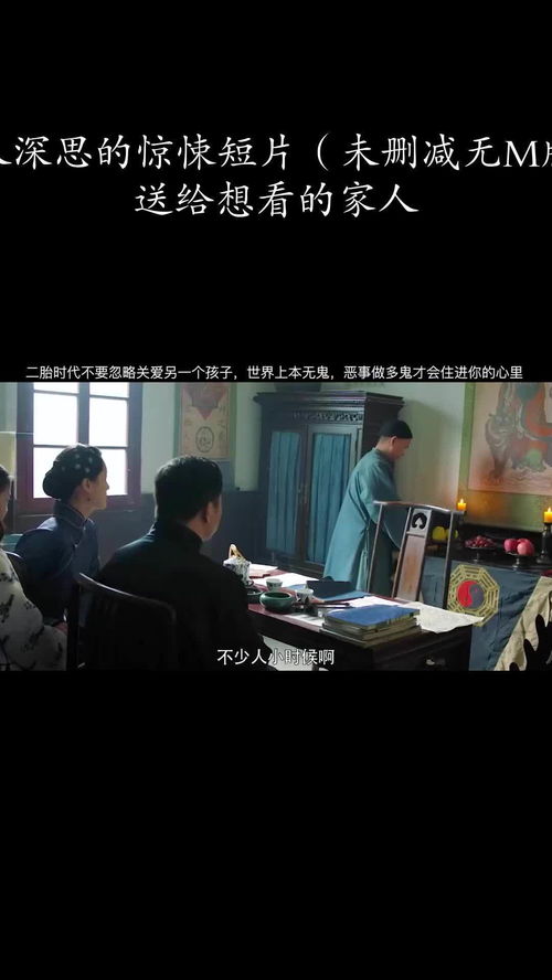 豪赌人生，一部引人深思的短剧全集免费观看