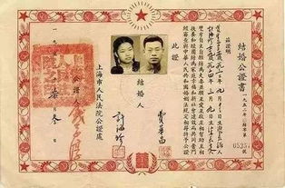 九张婚书，感人至深的爱情短剧