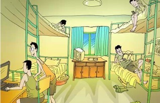 室友关系中的阴影，揭秘室友霸凌短剧免费观看