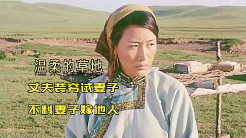 免费观看，嫁个傻子老公的背后故事