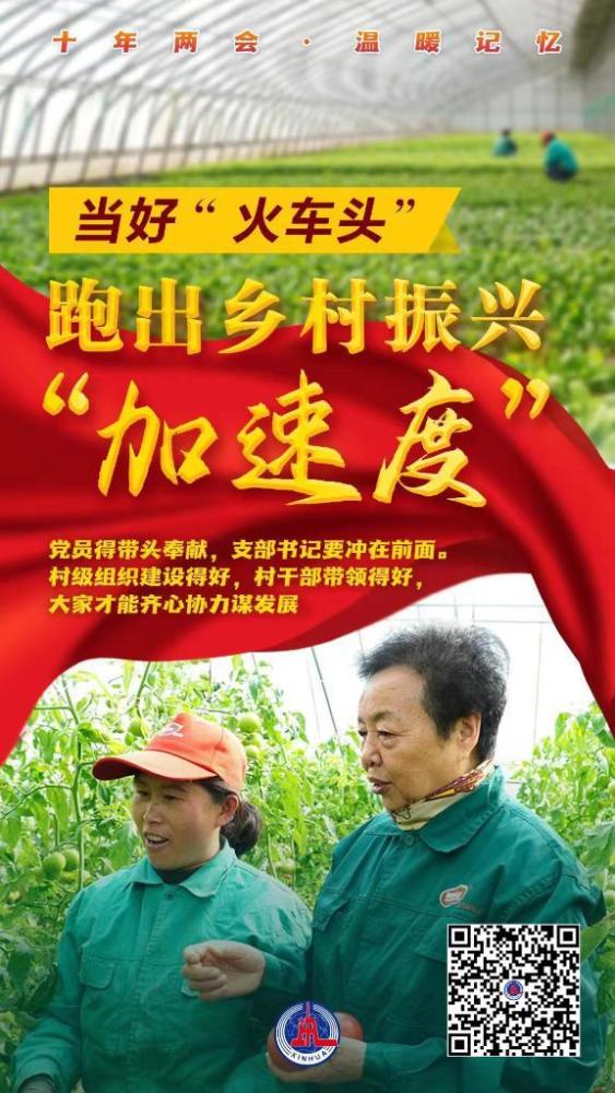 重温童年记忆，小婷婷短剧免费观看指南