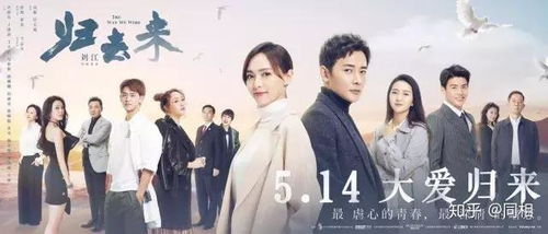 天使归来，免费在线短剧的魅力之旅