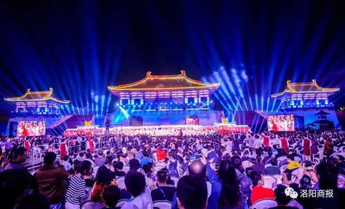 免费高清短剧盛宴，温暖阳光下的视觉盛宴