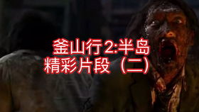 狂傲不羁短剧，免费观看的精彩世界在线畅享