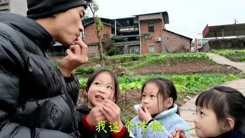 母爱乡村，免费观看的短剧