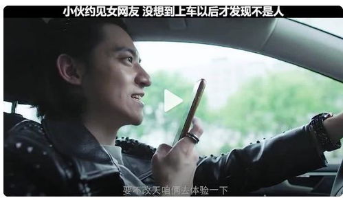 下坠人生，免费在线短剧