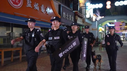 缉私警察行动纪实，高清短剧免费观看