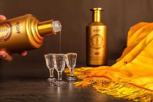 二两小酒与免费短剧，魅力之旅的探索