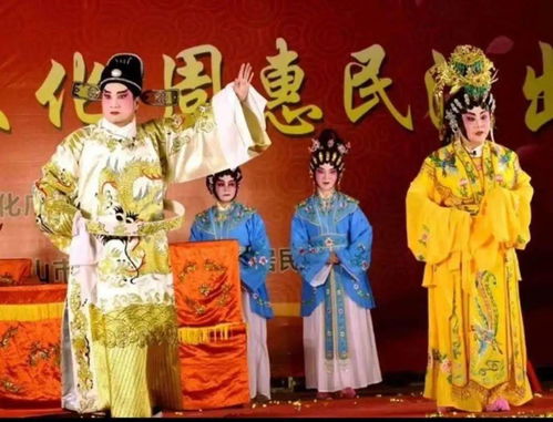 驸马林青云，免费短剧的魅力之旅