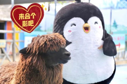 失色犬马2，免费观看的精彩短剧