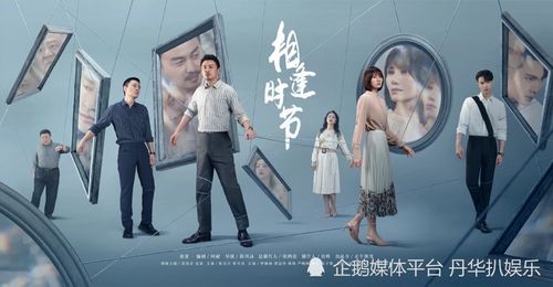 免费观看的魅力与价值，难以遇见的小短剧