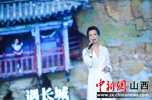 花生短剧，王牌赘婿免费观看的魅力之旅