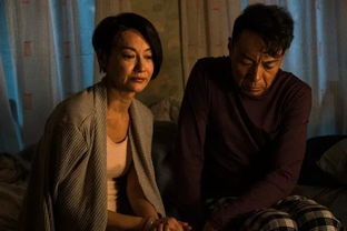 无双楚青网络剧免费观看，探索短剧魅力新体验