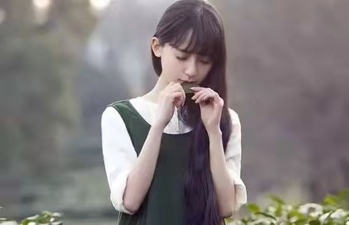 自闭女孩的蜕变之旅，免费高清短剧