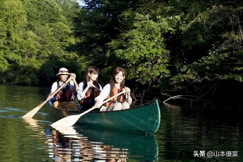 免费畅享，钓鱼短剧的魅力之旅全集中观与下载