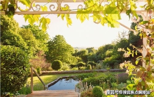 母亲强势，短剧深度解析全集免费观看