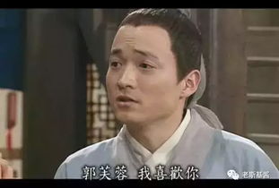 柳龙庭传免费观看指南