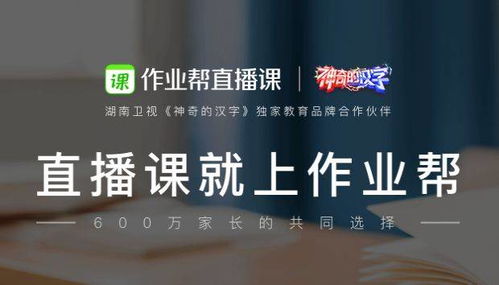 总裁黑客风云免费在线短剧观看指南