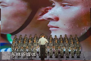 王者归来，重燃激情岁月的热门短剧免费观看