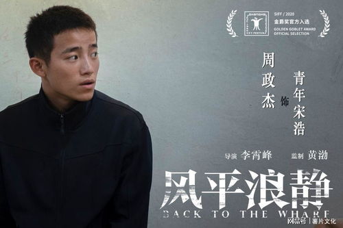 刘峥短剧合集，免费观看，开启影视新风尚