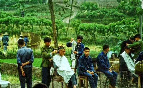 回不去的时光，免费短剧，重温过去之旅