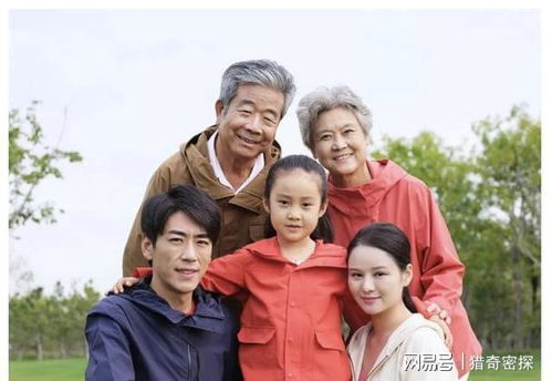 女婿与儿媳的暖心家庭短剧，免费观看的幸福故事