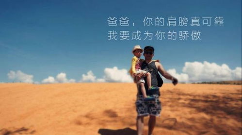 心动之旅，免费短剧的魅力探索