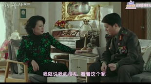 病娇舅舅的精彩世界，免费观看短剧的魅力