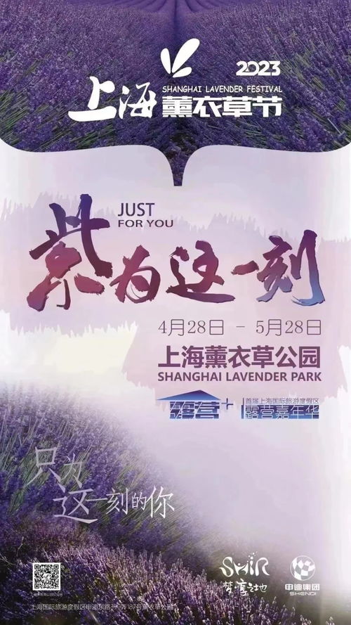 不负情深，免费在线短剧，精彩体验等你来观