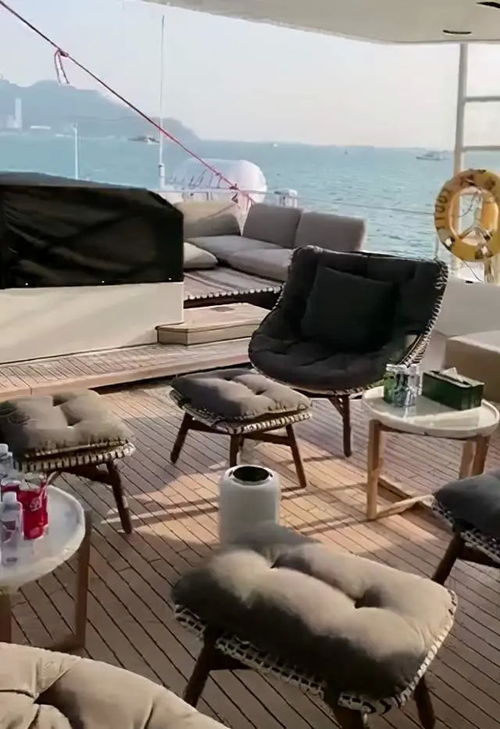 免费观看，豪门小少爷的奢华生活