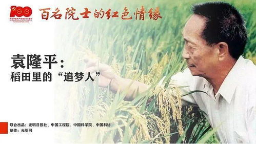 再见前任，麦子短剧免费观看，重温旧梦的回忆之旅
