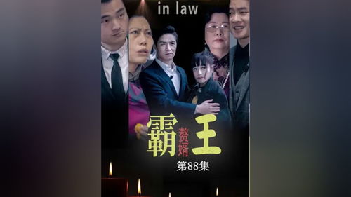 惊天赘婿免费短剧深度解析与在线观看指南