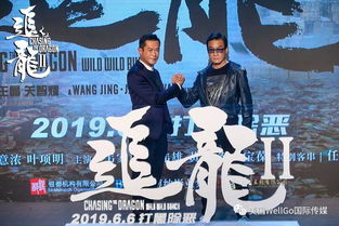 天天短剧，免费追龙，探索精彩世界