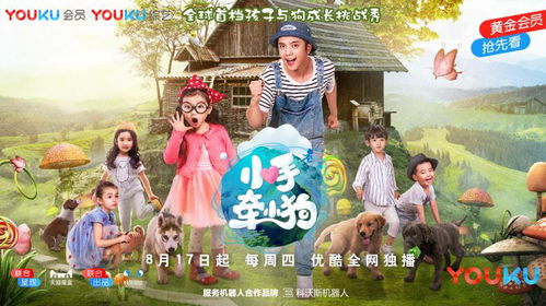 免费观看，探索鬼怪网络短剧的奇幻之旅高清版