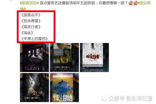 免费观看警察卧底小短剧，深度解析与观影宝典
