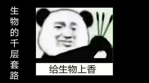 套路先生短剧免费观看，您的首选剧集平台