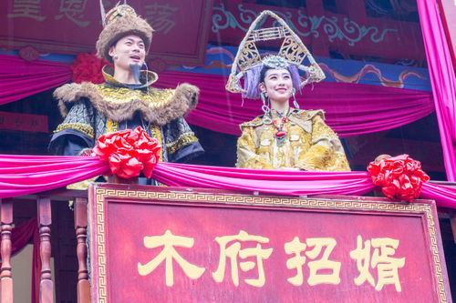 财神剧场，免费短剧，精彩世界任你观