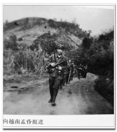边防英雄，免费在线观看的短剧